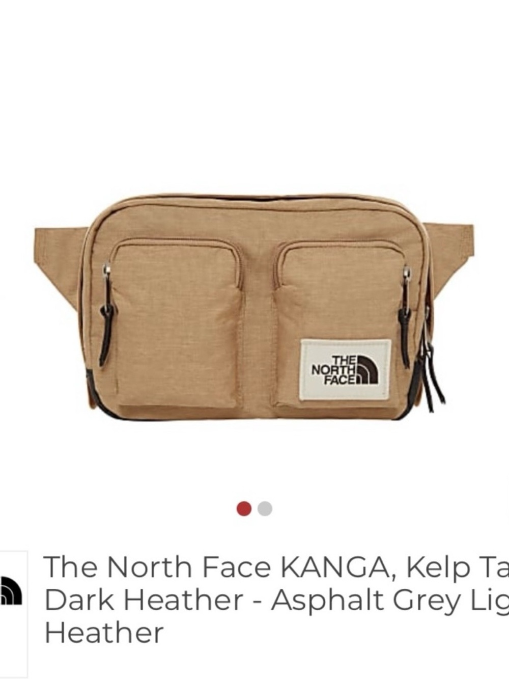 The North Face Kanga Fanny Pack - Picture 10 of 10